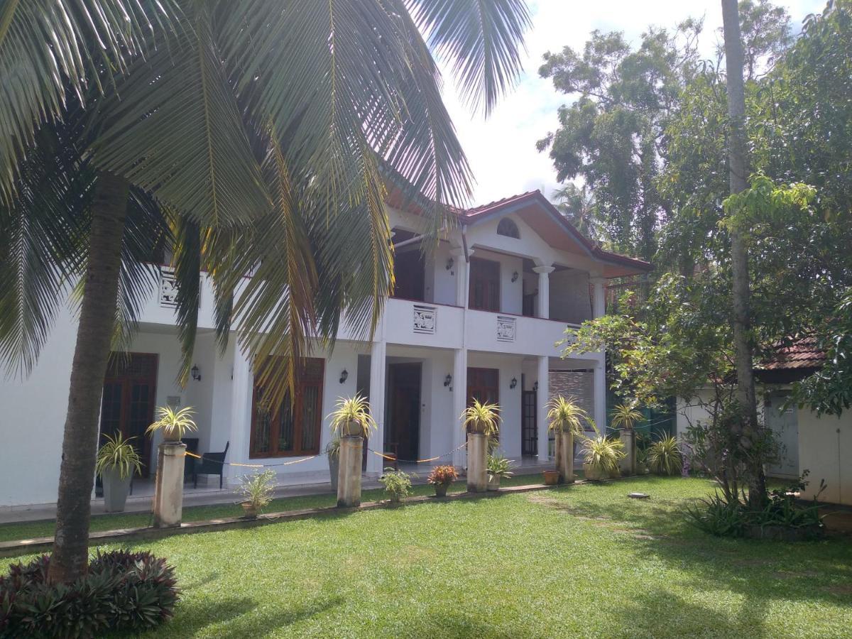 نيجومبو Vijai Resort المظهر الخارجي الصورة